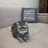 Диван BOSS.XO Monolit отзыв клиента