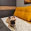 BOSS 2.0 Mini Monolit отзыв клиента