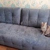 BOSS 2.0 Mini Велюр Royal отзыв клиента