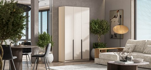 Босс Стандарт 120*220 шкаф распашной 3Д 01 Кашемир 2