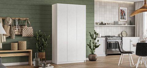 Идея 120 шкаф распашной 3Д Белый 2